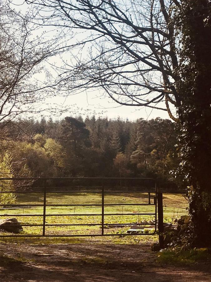 Relax In The Unique And Cosy Off-grid Eco Shepherd's Hut Between Heaven And Earth *