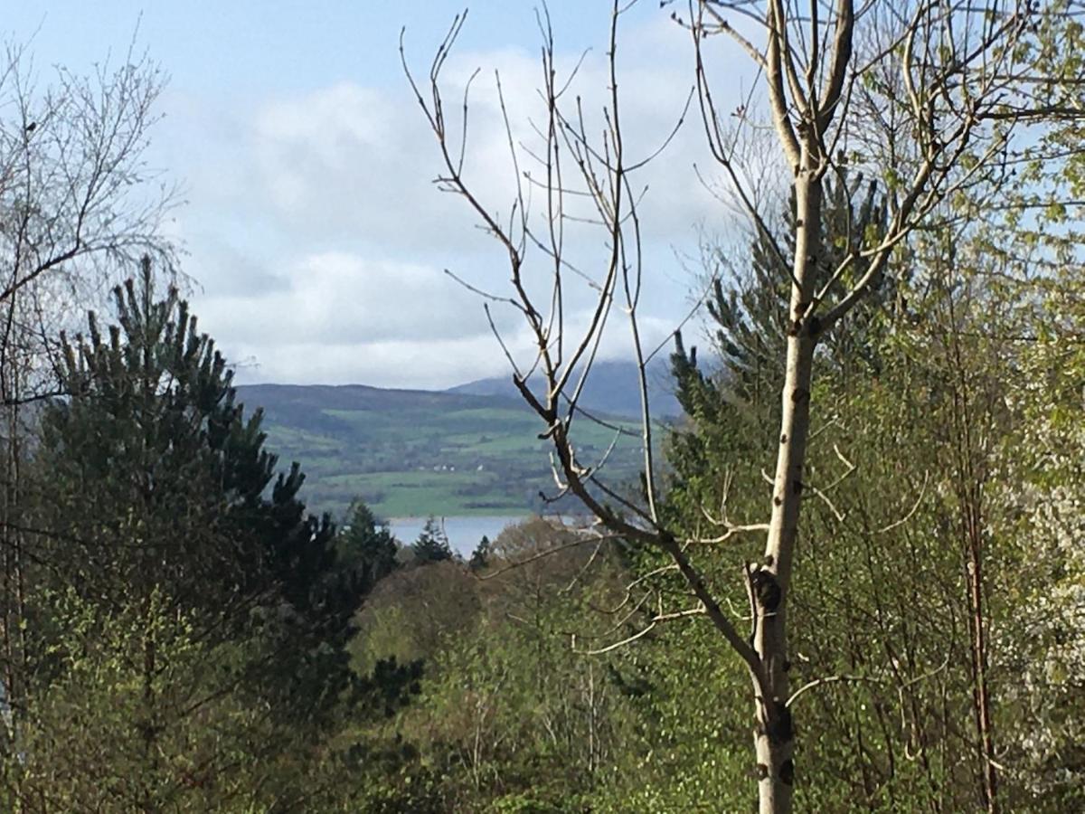 Lodge Relax In The Unique And Cosy Off-grid Eco Shepherd's Hut Between Heaven And Earth Mountshannon