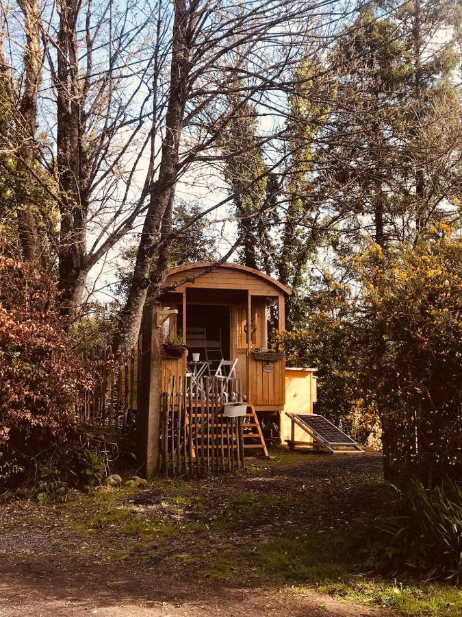 Relax In The Unique And Cosy Off-grid Eco Shepherd's Hut Between Heaven And Earth Lodge