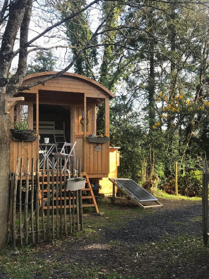 Lodge Relax In The Unique And Cosy Off-grid Eco Shepherd's Hut Between Heaven And Earth
